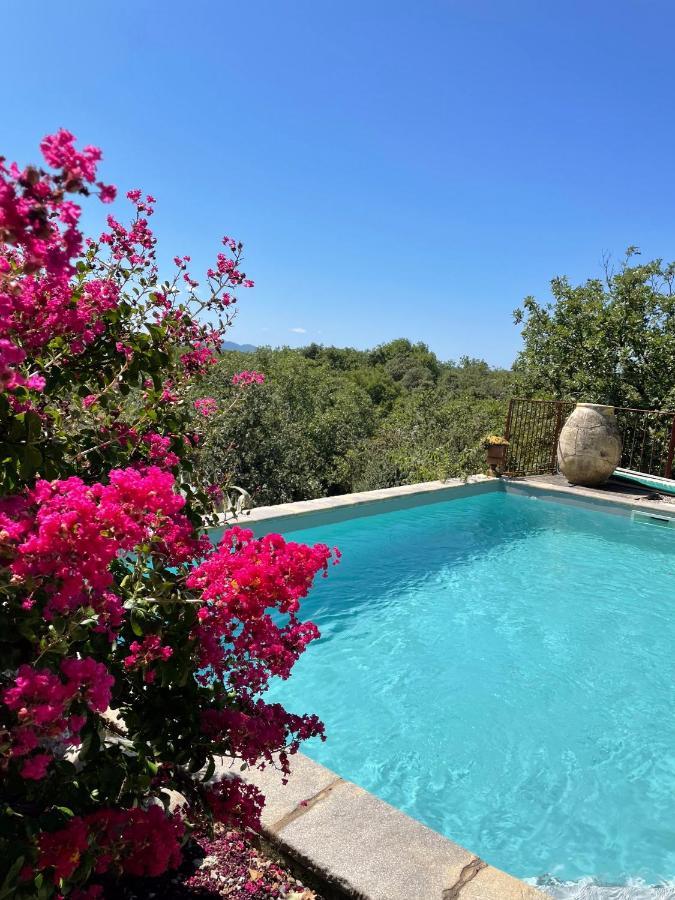 Le Petit Mas Bed and Breakfast Vogue Exteriör bild