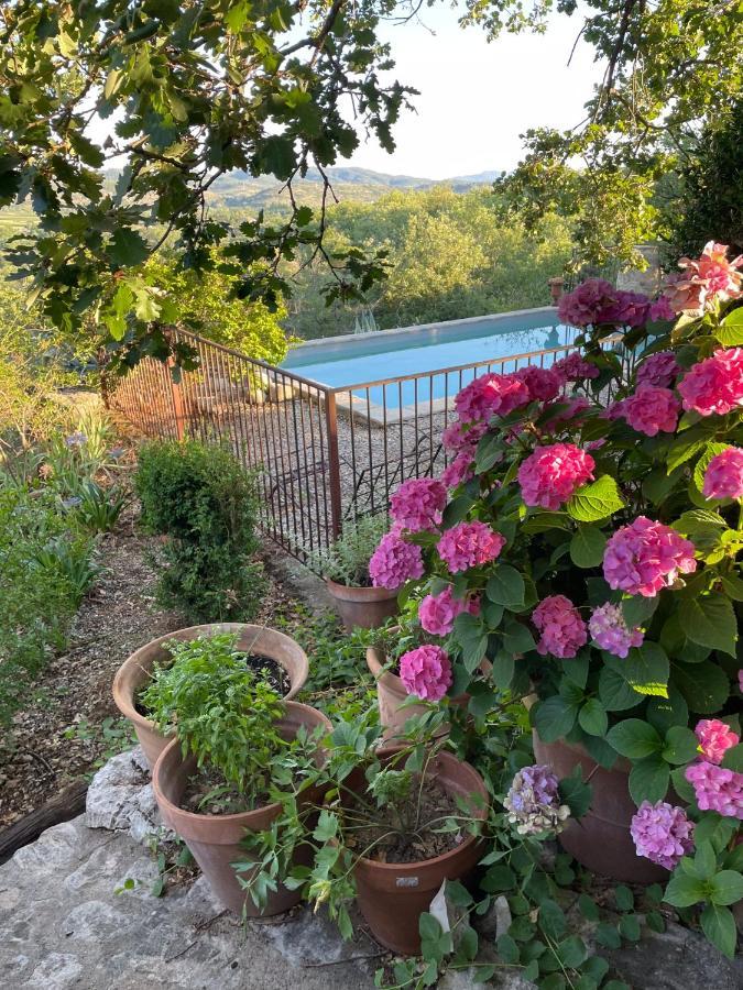Le Petit Mas Bed and Breakfast Vogue Exteriör bild